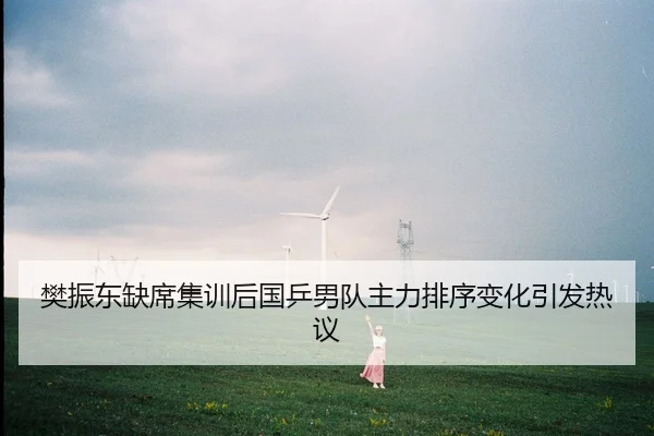樊振东缺席集训后国乒男队主力排序变化引发热议